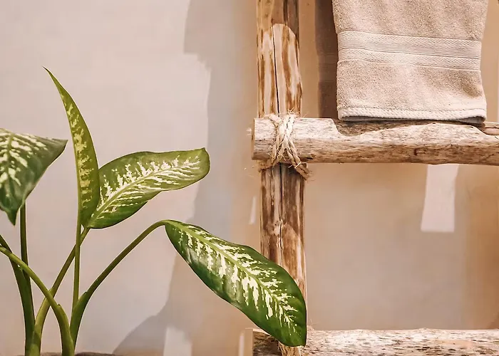 Casa Tira - Your Luxury Jungle Mansion In Villa *