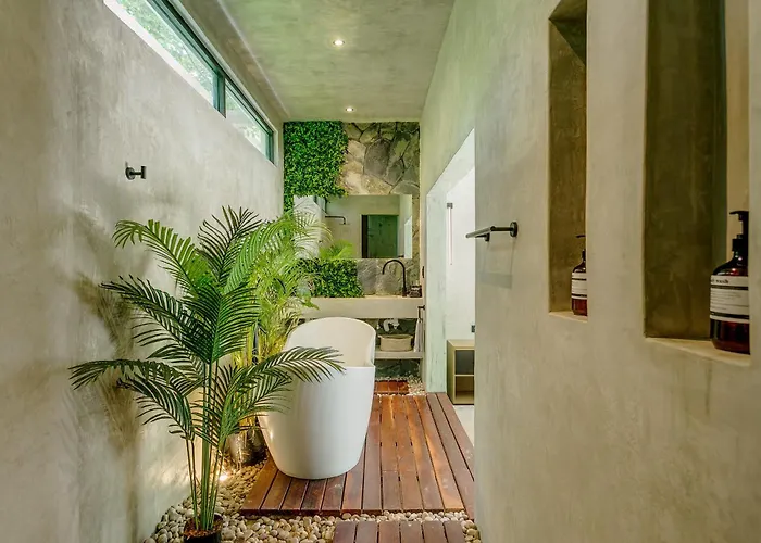 Casa Tira - Your Luxury Jungle Mansion In *